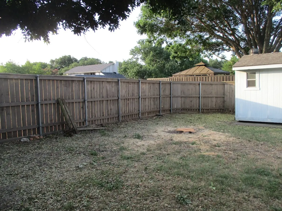 Cleared yard after professional tree removal in High Springs